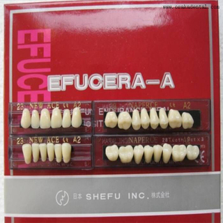 Dientes de resina dental con 6 juegos completos en una caja