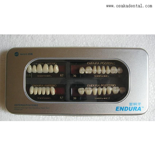 Dientes dentales de resina de acero-acero Osa-a-dientes1